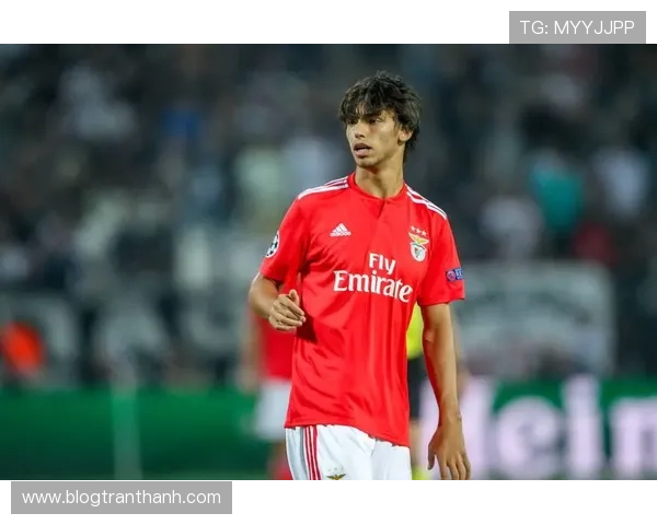 菲利克斯职业轨迹：从本菲卡崛起至马竞与切尔西租借经历