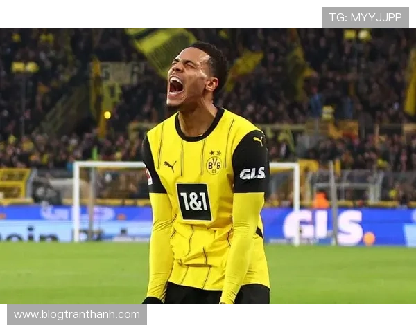 多特蒙德争冠关键阶段掉链子,对球队赛季走势形成制约 多特蒙德争冠关键阶段掉链子,对球队赛季走势形成制约